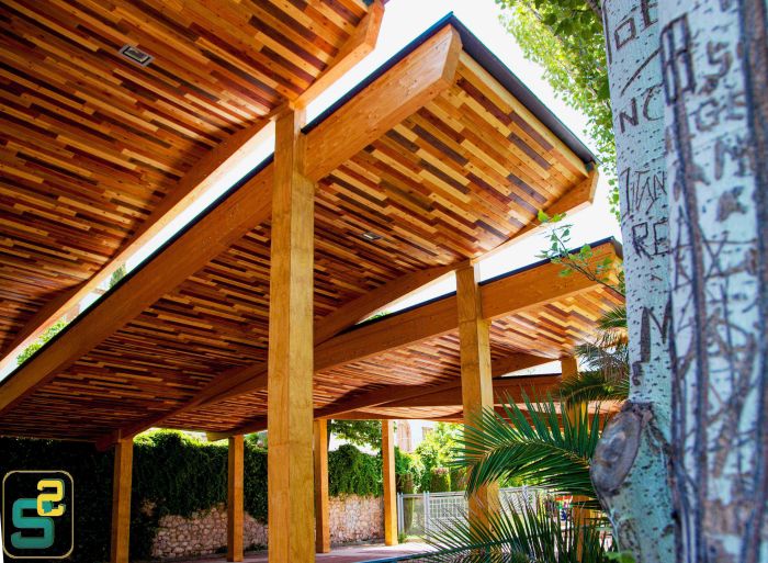 VUELO DE LA MADERA_baja calidad_2.jpg